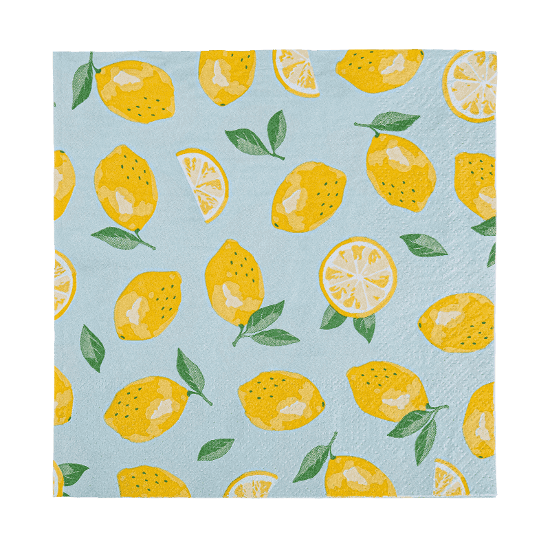 33x33 s plným tiskem 2-vrstva papírového ubrousků