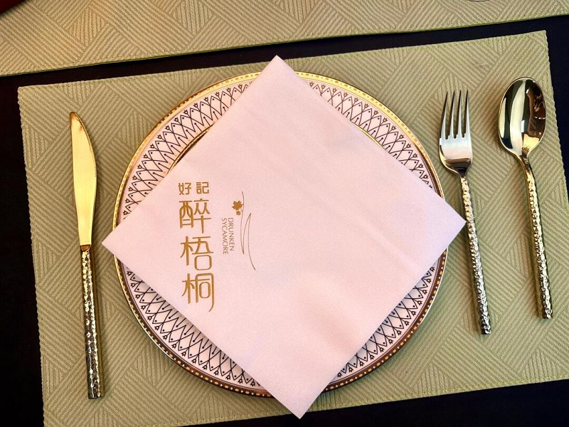 Porozumění Airlaid ubrouskům: Materiál, aplikace a přehledy trhu